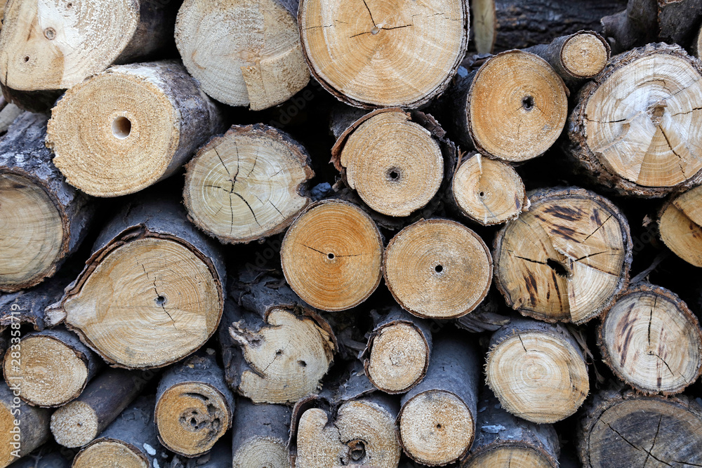 cross section of the trunk stacked together