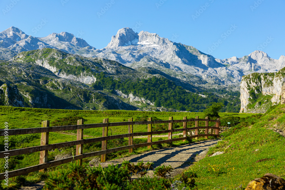 Fototapeta premium Mountain landscape of Picos de Europa, Spain
