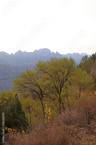 Natural scenery in mountain area