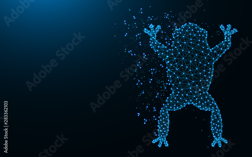 Frog low poly design, Amphibian animal abstract geometric image, Toad wireframe mesh polygonal vector illustration made from points and lines on dark blue background © Vladislav