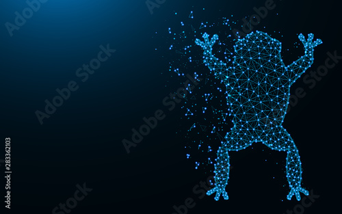 Frog low poly design, Amphibian animal abstract geometric image, Toad wireframe mesh polygonal vector illustration made from points and lines on dark blue background