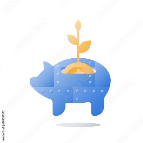 Metal piggy bank, long term investment strategy, coin and plant stem, value increase, pension savings, more money