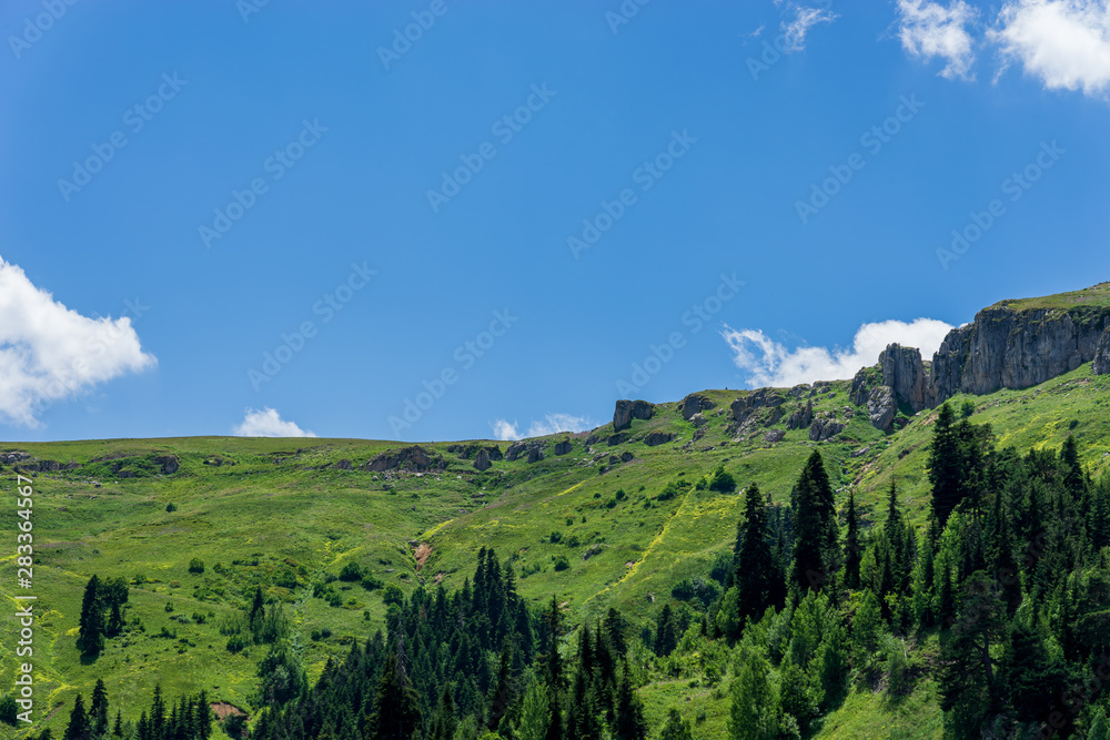 Fototapeta premium Beautiful summer landscape in Savsat, Artvin province, Turkey