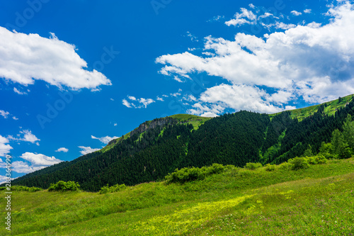 Beautiful summer landscape in Savsat, Artvin province, Turkey © klenger