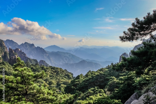 Dark pine needles and a branch on the right with mountain ranges fading into the distance in Huang Shan (黄山, Yellow Mountains) China