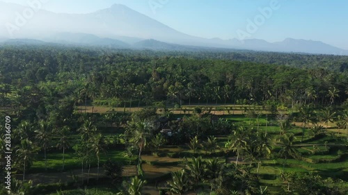 Flying over the rice fields of Tetebatu in central Lombok photo