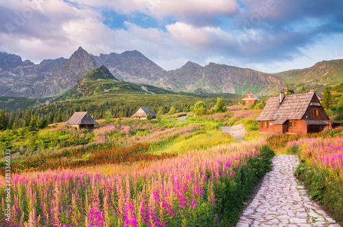Fototapeta Naklejka Na Ścianę i Meble -  mountain landscape, Tatra mountains panorama, Poland colorful flowers and cottages in Gasienicowa valley (Hala Gasienicowa), summer