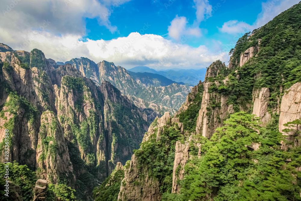 Cracked stone is covered with scrubby pine trees looking in a valley in Huang Shan (黄山, Yellow Mountains) China Cracked stone is covered with scrubby pine trees looking in a valley in Huang Shan (黄山, Yellow Mountains) China