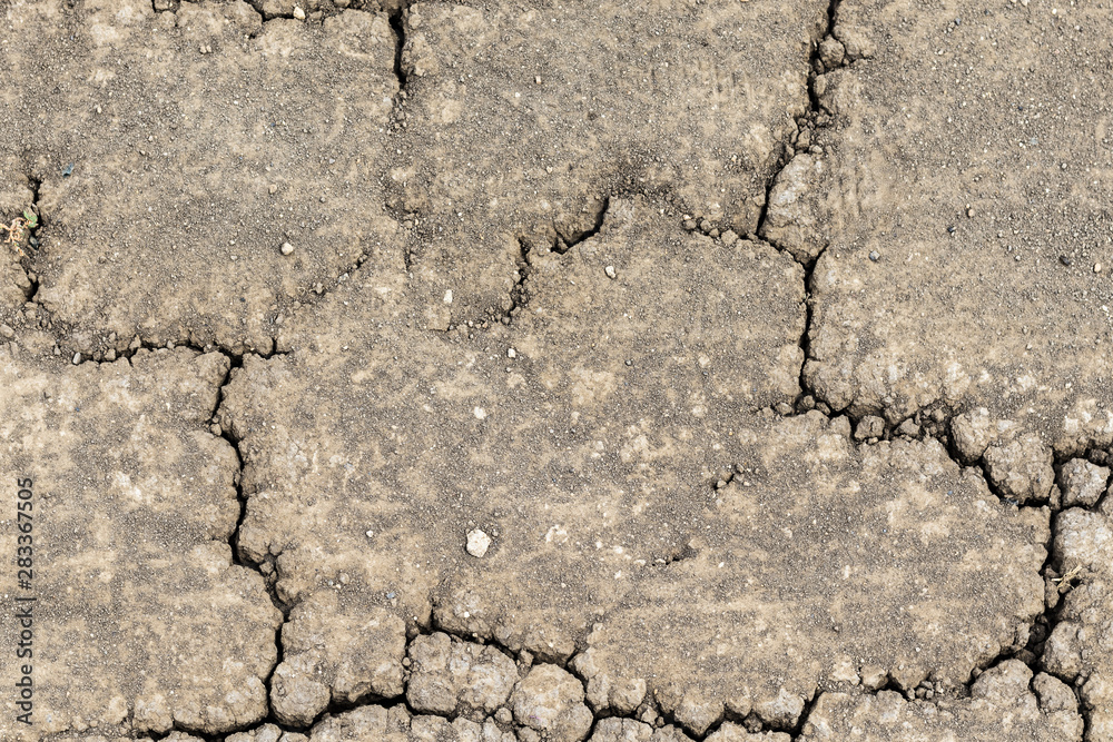 Fototapeta premium dry ground texture, dried earth