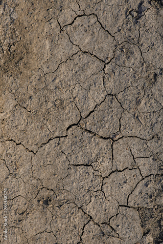 cracks in the ground due to lack of water