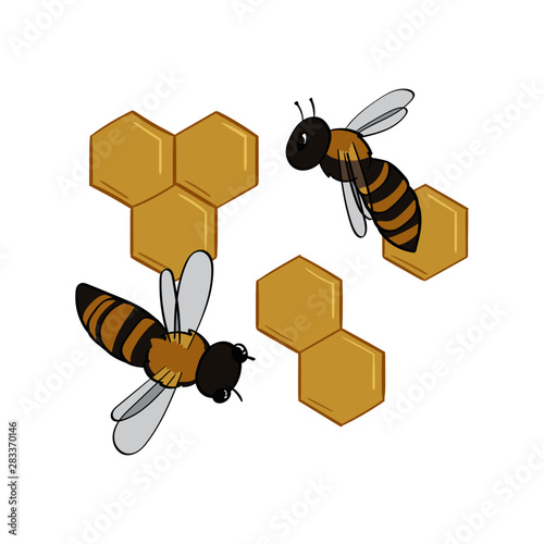 Honeybees with Honeycomb 