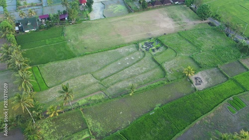 Flying over the rice fields of Tetebatu in central Lombok