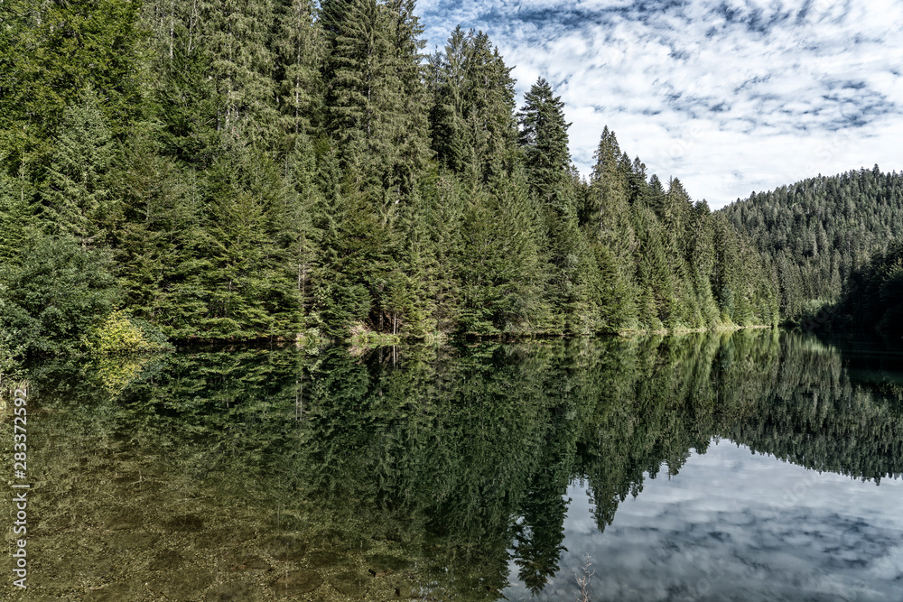 Kinzig drinking water reservoir in the northern Black Forest, the famous coniferous forest in Baden-Wuerttemberg, Germany