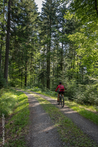 nice and ever young senior woman with her electric mountain bike in the northern Black Forest, Baden-Wuerttemberg, Germany