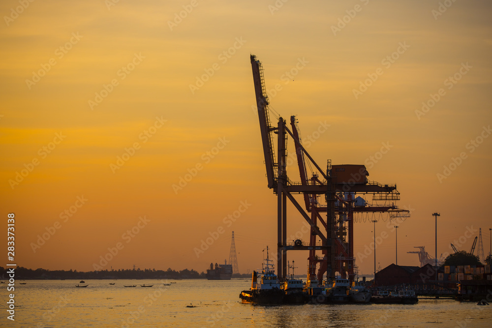 cranes at sunset, yangon