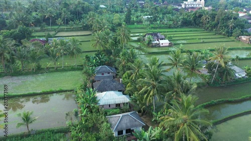 Flying over the rice fields of Tetebatu in central Lombok
