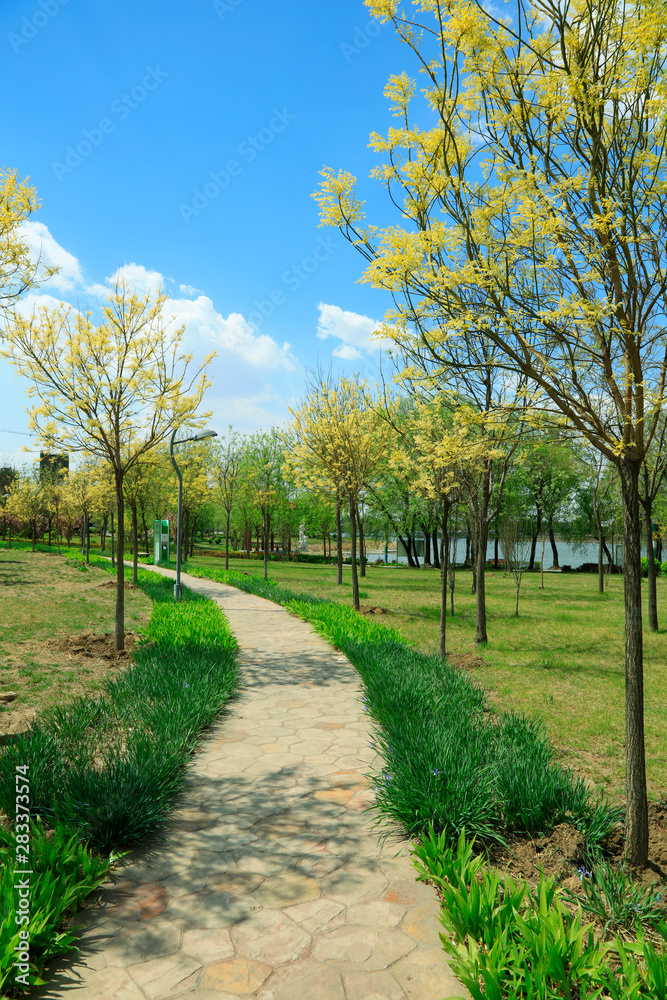 path in the park path in the park