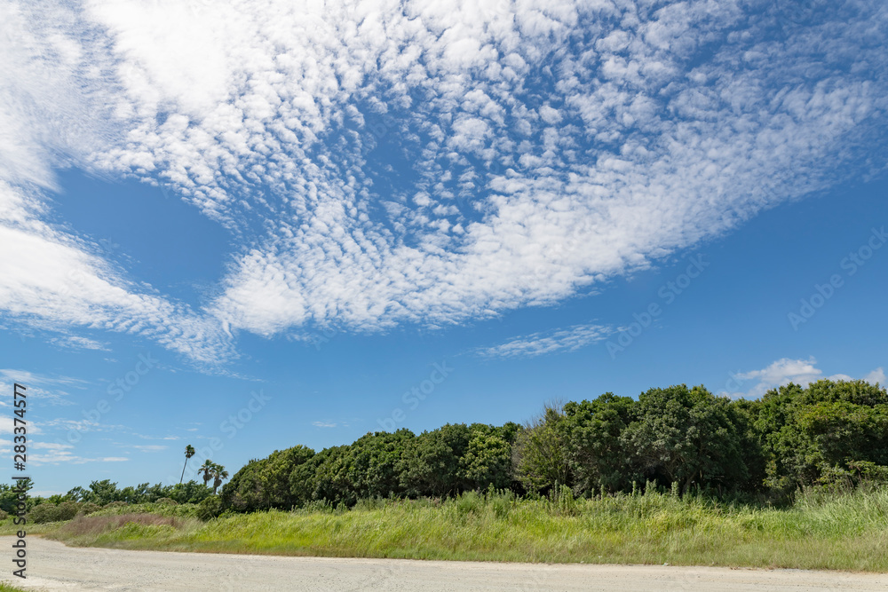 Fototapeta premium 青空と雲