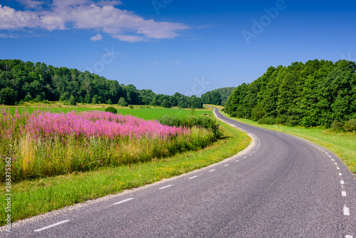 Wallpaper Mural Beautiful asphalt road with flowers and trees in the background. Typical road in Estonia. Torontodigital.ca