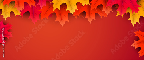 Autumn background with colorful maple leaves.