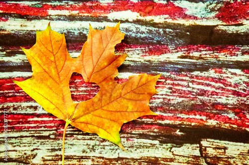 bright orange maple leavf decoration with heart symbol photo