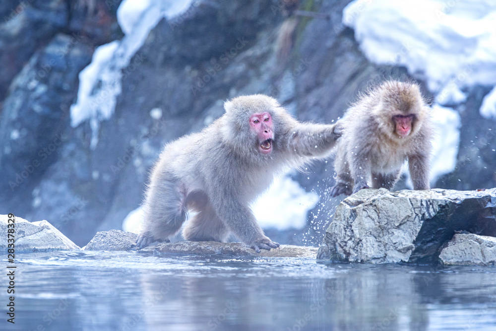 Fotografie Travel Asia