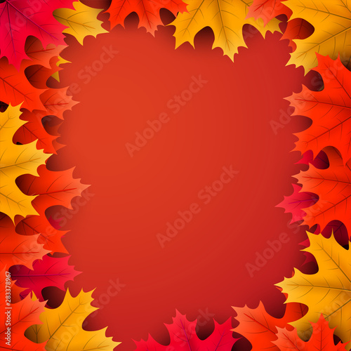 Autumn background with colorful maple leaves.