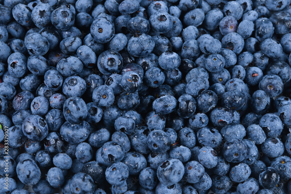 Fresh blueberry background. Texture blueberry berries close up. Fresh blueberry background. Texture blueberry berries close up.