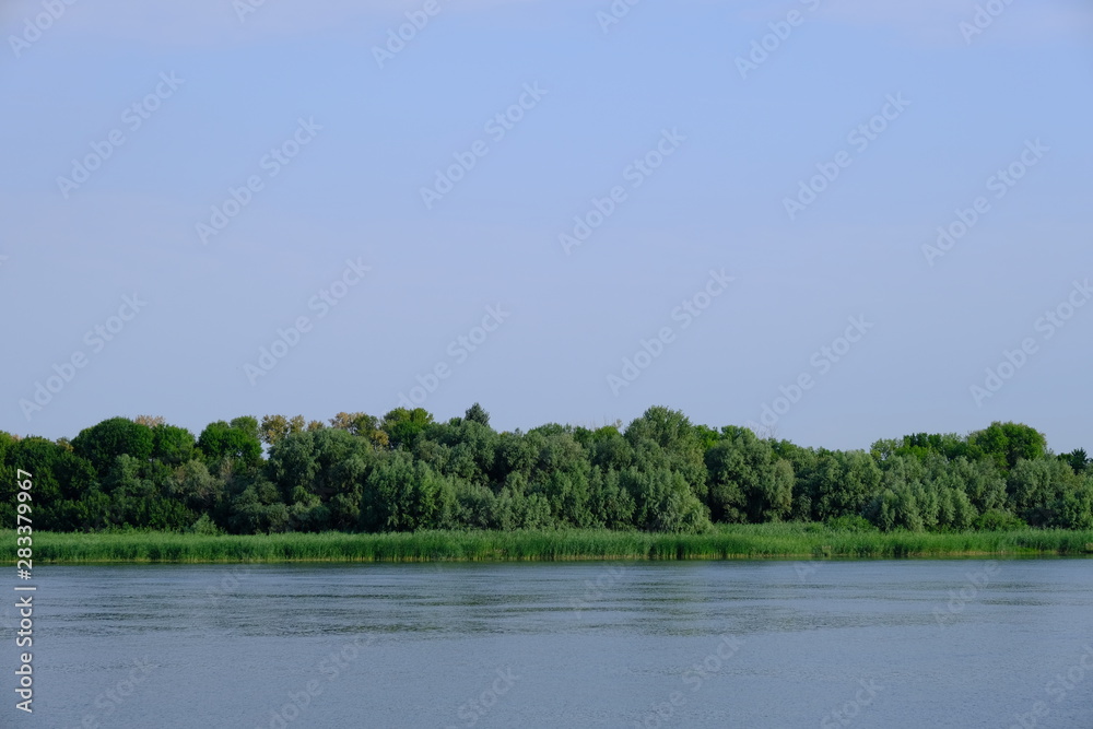 Trees on a background of blue sky Trees on a background of blue sky