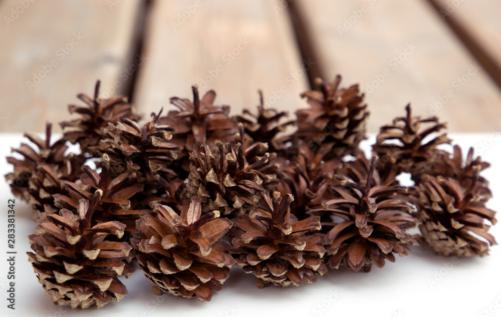 pine cones on wooden background pine cones on wooden background
