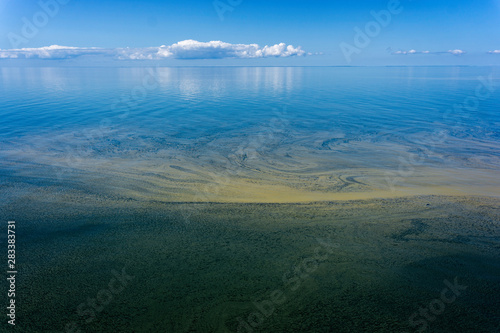 Brown and green plankton bloom in The Baltic Sea