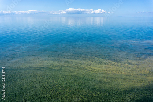 Brown and green plankton bloom in The Baltic Sea photo