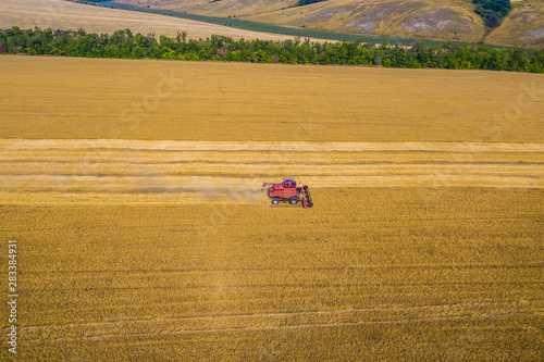  harvesting wheat. top view.shot on a drone. red harvester on the field photo