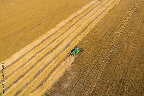 harvesting wheat. top view.shot on a drone 