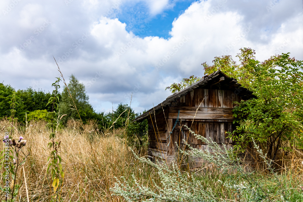 verlassene Holzhütte