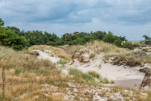 German Baltic Sea coast with sand dunes  grass  water and sky