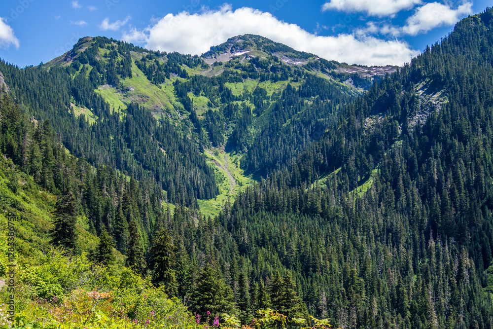 View of North Cascade Mountains View of North Cascade Mountains