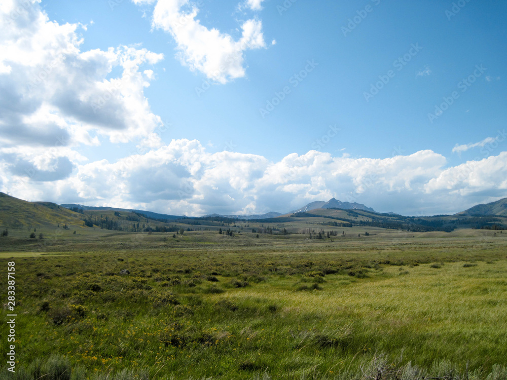 Green landscape with blue sky and mountains