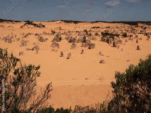 The Pinnacles in Western Australia, Perth region.  © Elin