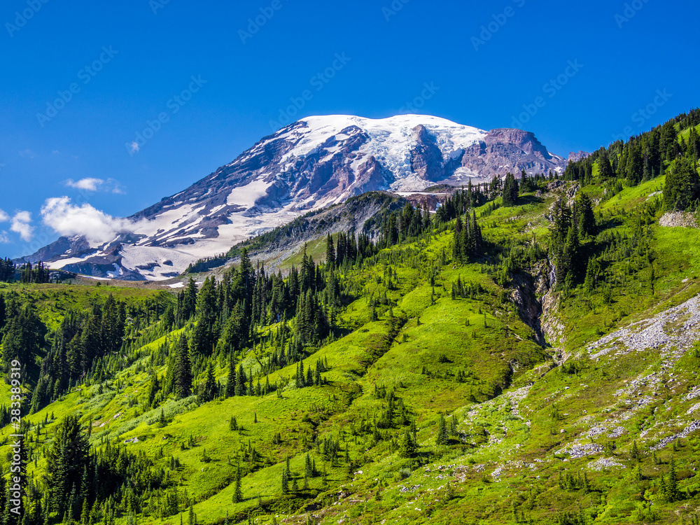 View of Mount Rainier from Paradise