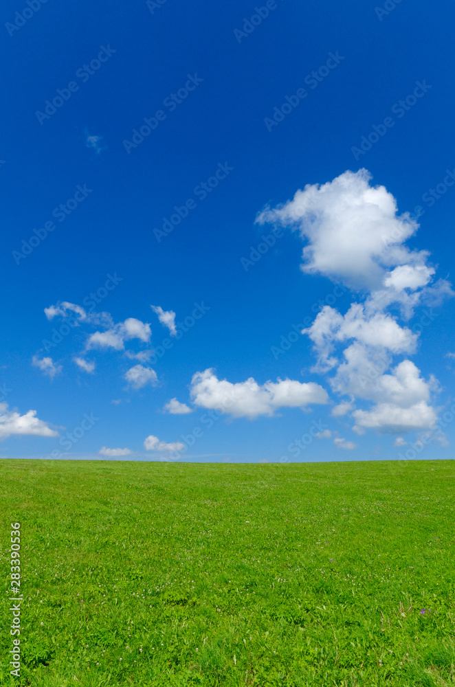 green grass field with bright blue sky and some clouds green grass field with bright blue sky and some clouds