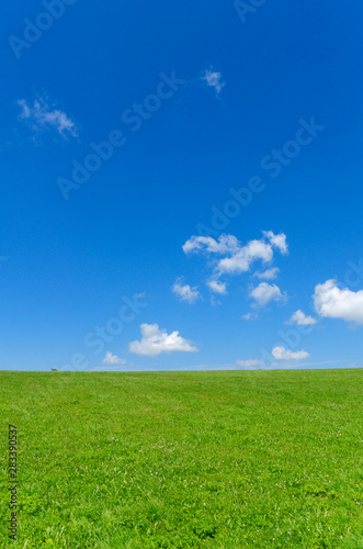 green grass field with bright blue sky and some clouds