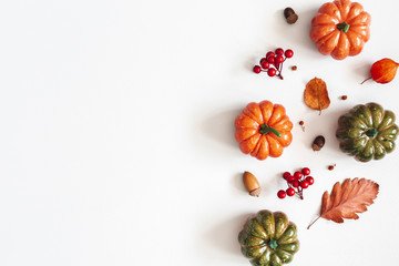 Autumn composition. Dried leaves, pumpkins, flowers, rowan berries on white background. Autumn, fall, halloween, thanksgiving day concept. Flat lay, top view, copy space
