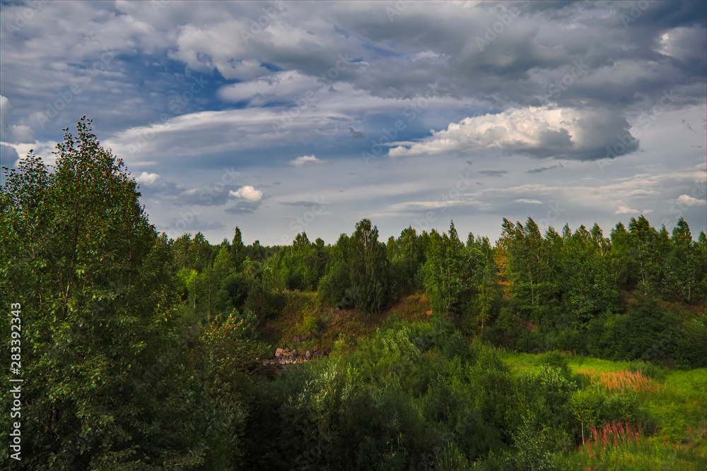 Summer meadow landscape with green grass and wild flowers on the background of a forest. Summer meadow landscape with green grass and wild flowers on the background of a forest.