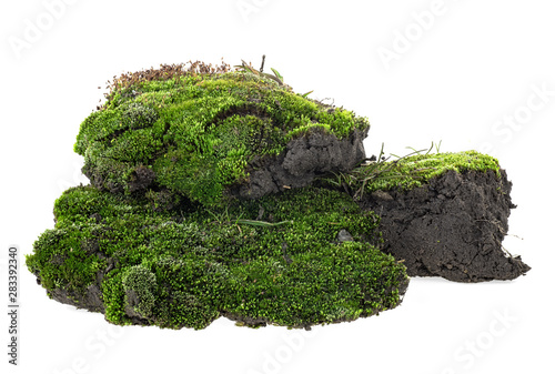 Wet green mossy hill isolated on white background