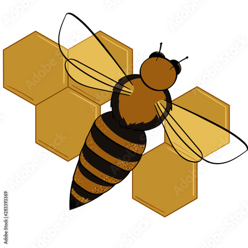 Single Honey Bee with Honeycomb