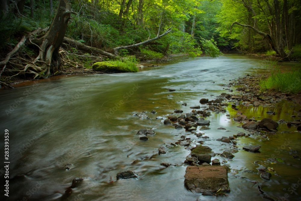 Obraz premium Going with the flow