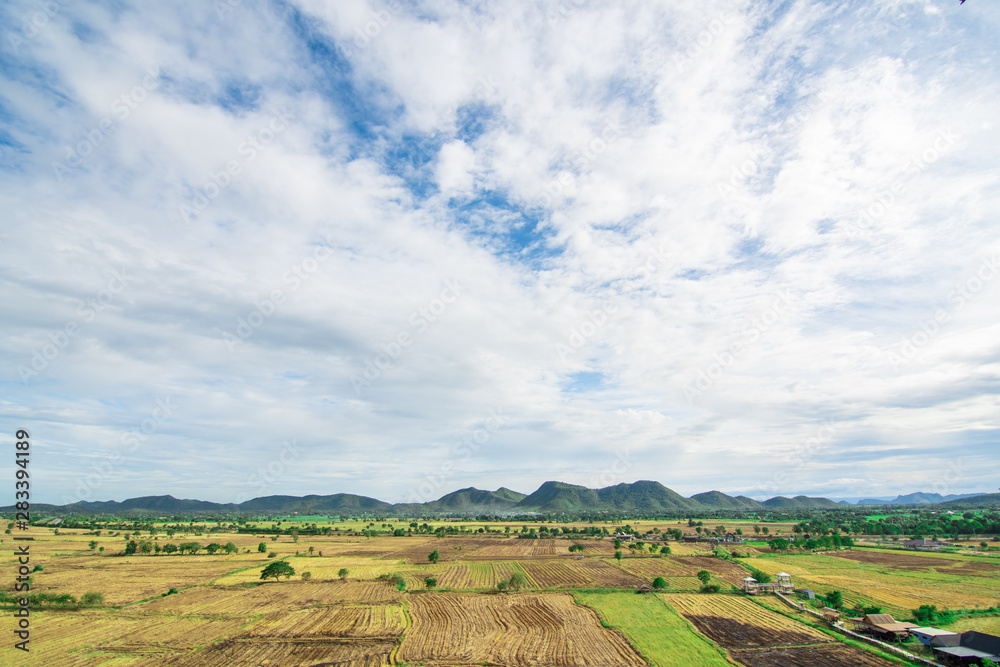 Landscape of rice field,mountain and sky.