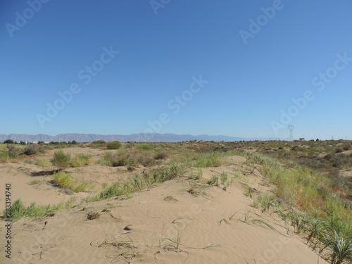 desert de kubuki (CHINE)