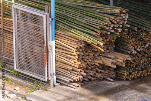 Bamboo trunk material stacks used in the construction industry. The bamboo can be used for many things.